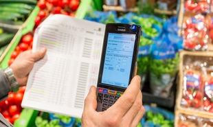 WITRON EDEKA Melsungen2 310